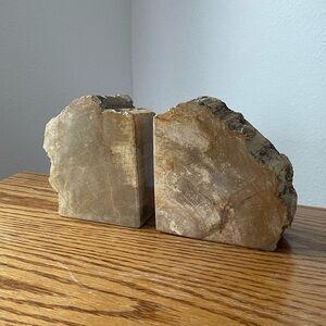 Petrified Wood Bookends